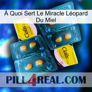 À Quoi Sert Le Miracle Léopard Du Miel cialis5